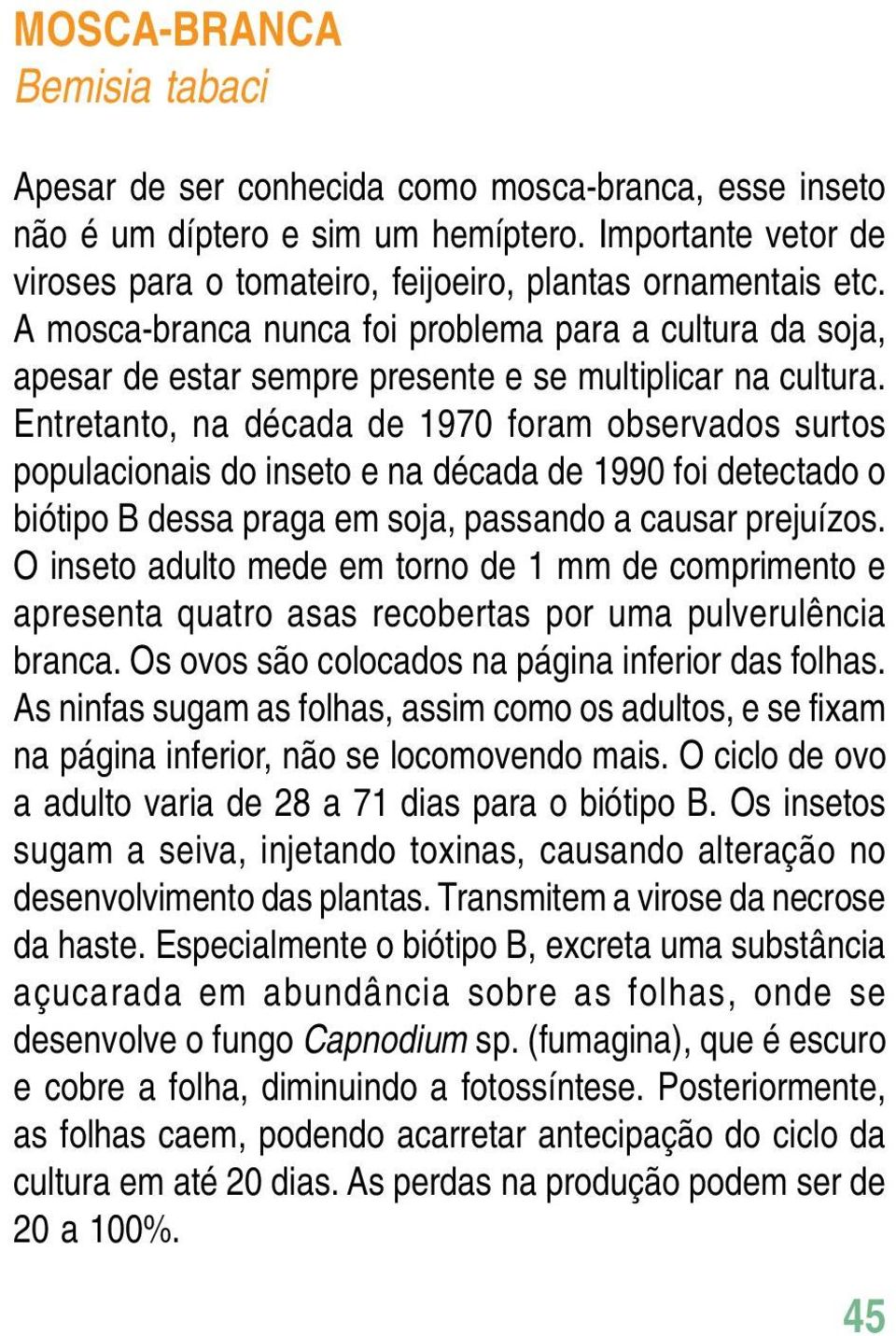 Entretanto, na década de 1970 foram observados surtos populacionais do inseto e na década de 1990 foi detectado o biótipo B dessa praga em soja, passando a causar prejuízos.