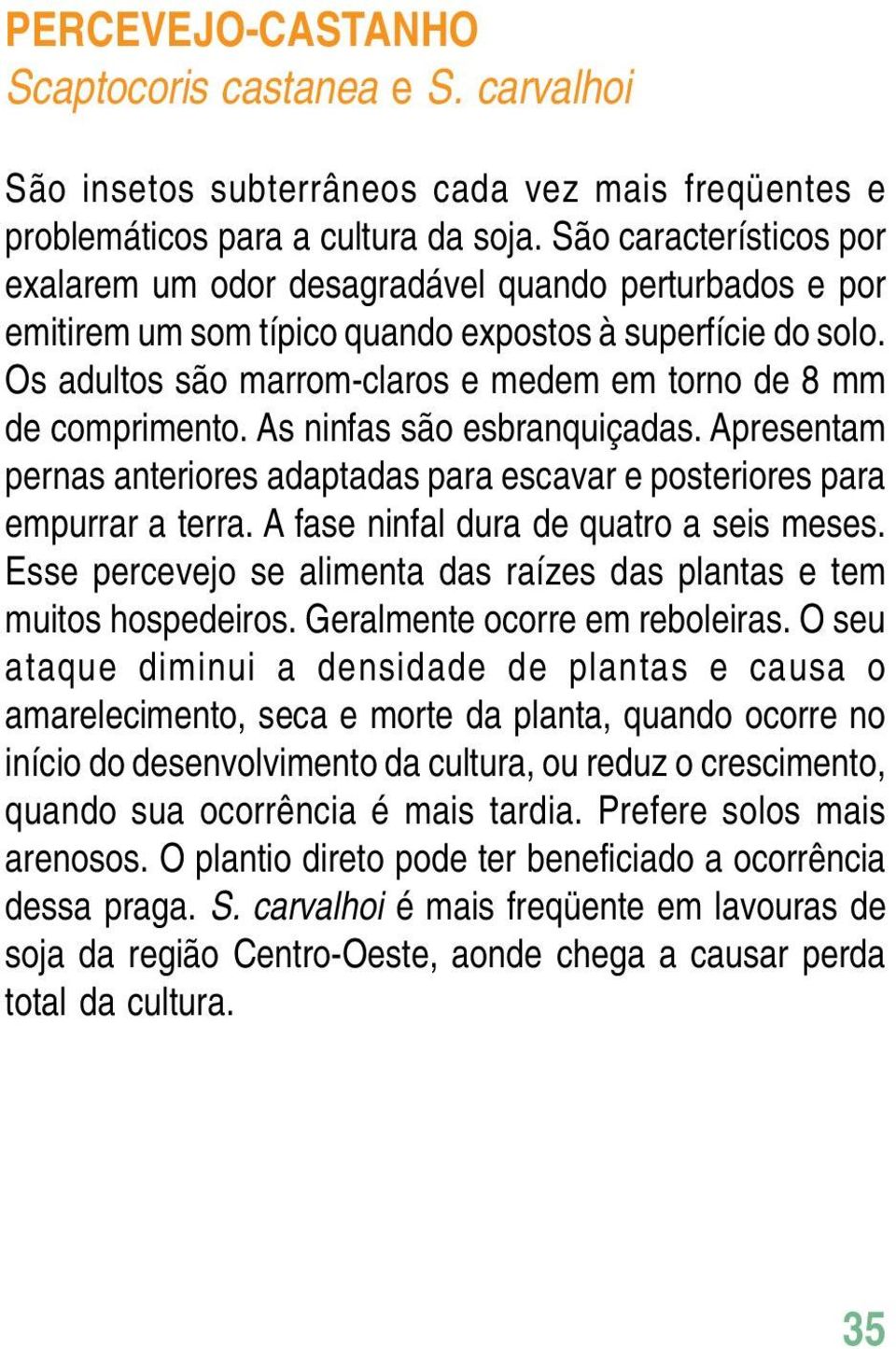 Os adultos são marrom-claros e medem em torno de 8 mm de comprimento. As ninfas são esbranquiçadas. Apresentam pernas anteriores adaptadas para escavar e posteriores para empurrar a terra.