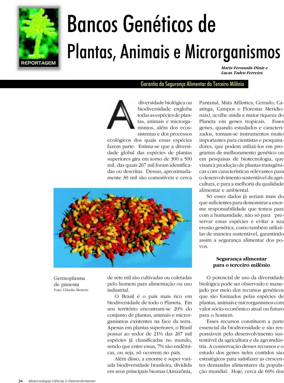 Estima-se que a diversidade global das espécies de plantas superiores gira em torno de 300 a 500 mil, das quais 267 mil foram identificadas ou descritas.