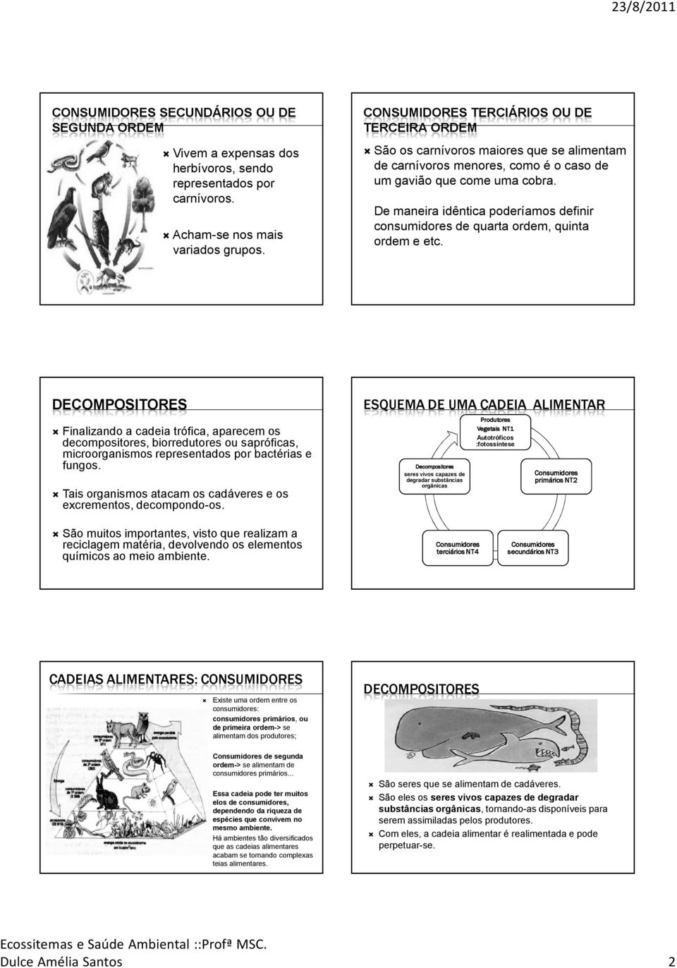 De maneira idêntica poderíamos definir consumidores de quarta ordem, quinta ordem e etc.