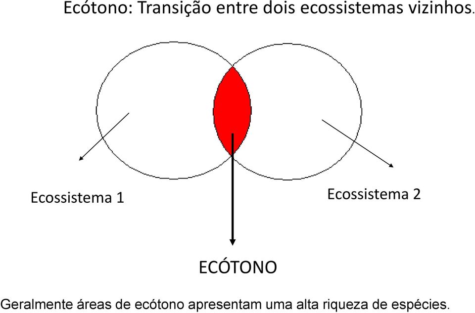 Ecossistema 1 Ecossistema 2 ECÓTONO