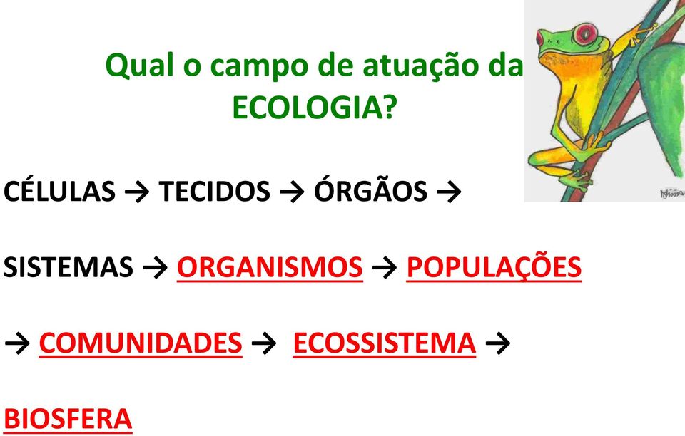 CÉLULAS TECIDOS ÓRGÃOS