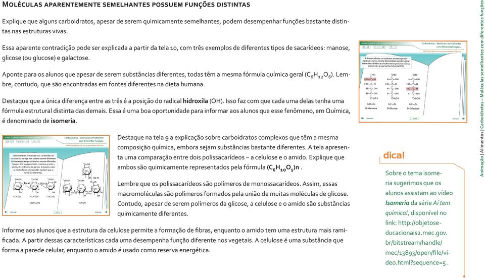 Aponte para os alunos que apesar de serem substâncias diferentes, todas têm a mesma fórmula química geral (C 6 H 12 O 6 ). Lembre, contudo, que são encontradas em fontes diferentes na dieta humana.