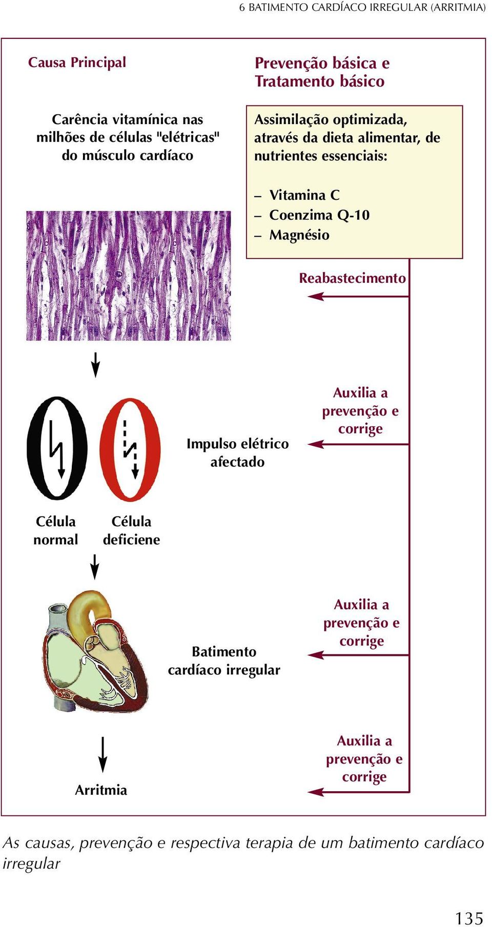 Magnésio Reabastecimento Impulso elétrico afectado Auxilia a prevenção e corrige Célula normal Célula deficiene Batimento cardíaco irregular