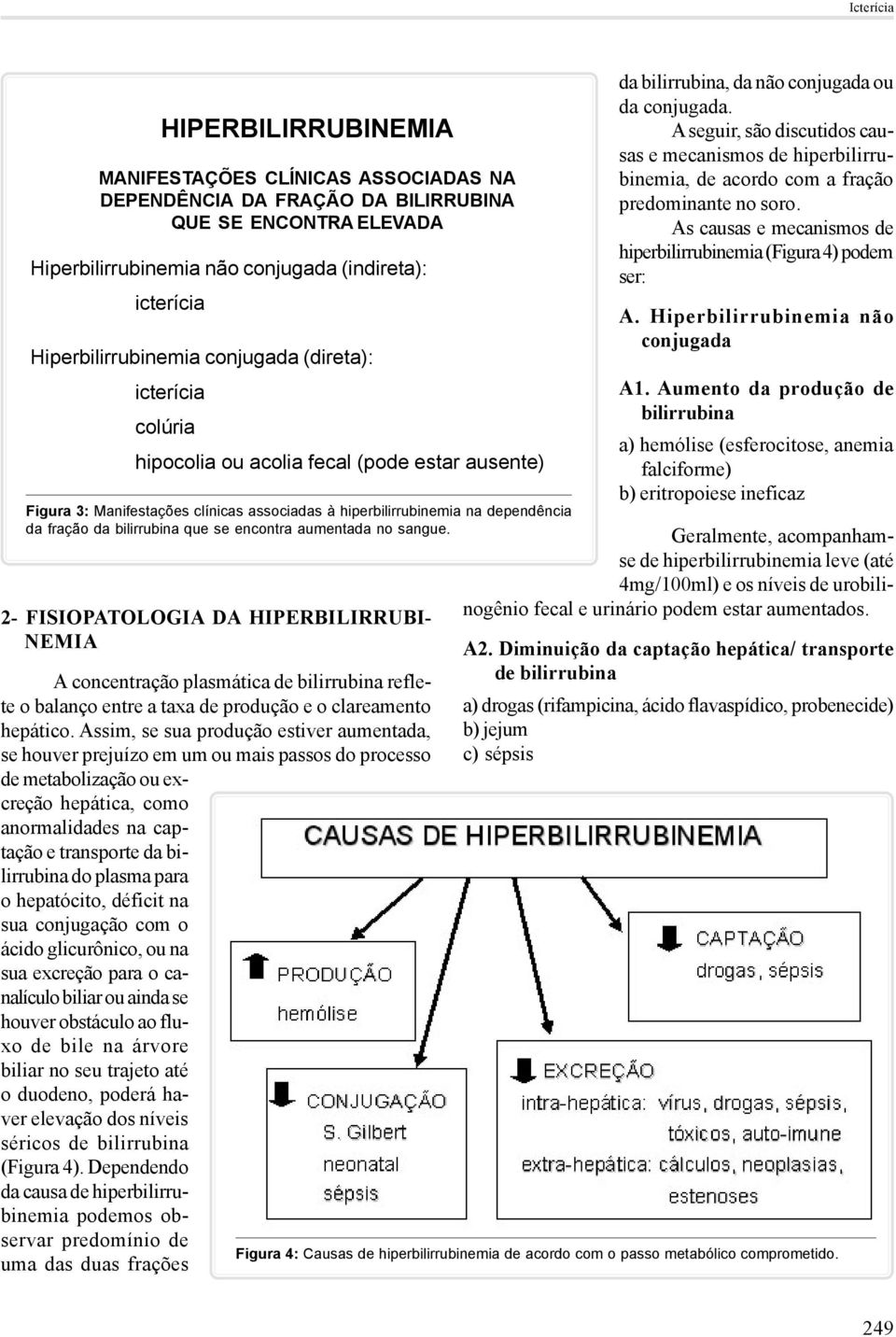 bilirrubina que se encontra aumentada no sangue.