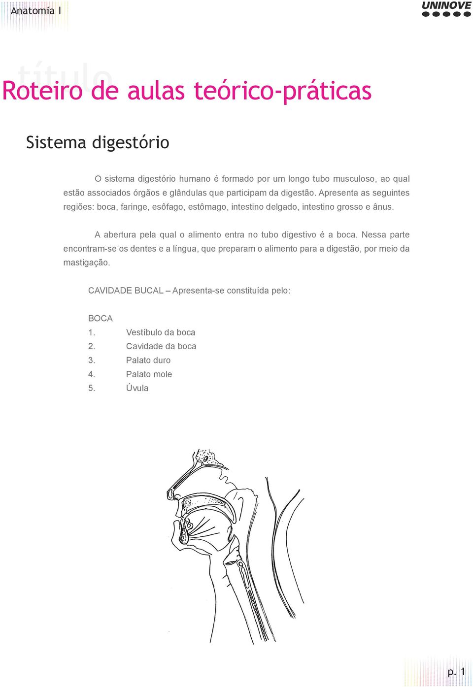 A abertura pela qual o alimento entra no tubo digestivo é a boca.