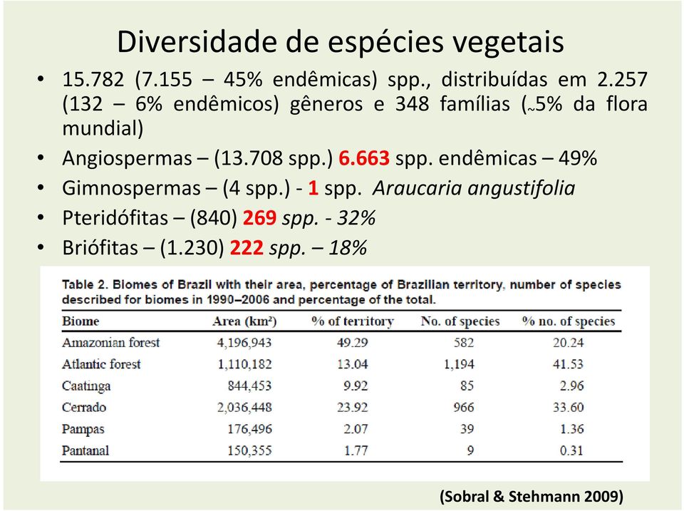 (13.708 spp.) 6.663 spp. endêmicas 49% Gimnospermas (4 spp.) - 1 spp.