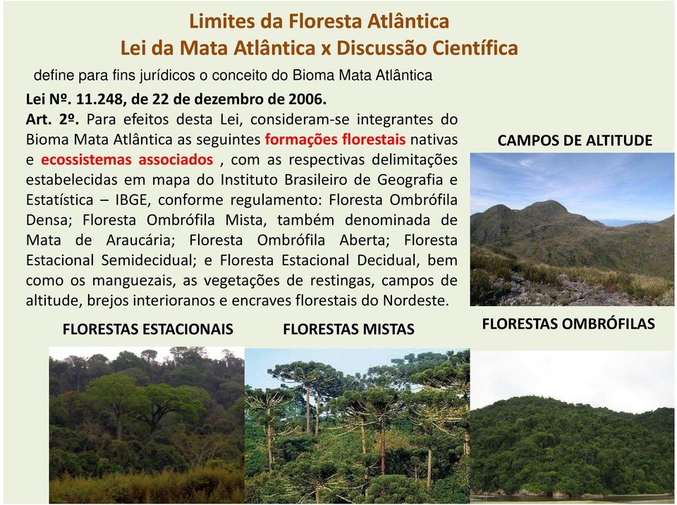 Instituto Brasileiro de Geografia e Estatística IBGE, conforme regulamento: Floresta Ombrófila Densa; Floresta Ombrófila Mista, também denominada de Mata de Araucária; Floresta Ombrófila Aberta;