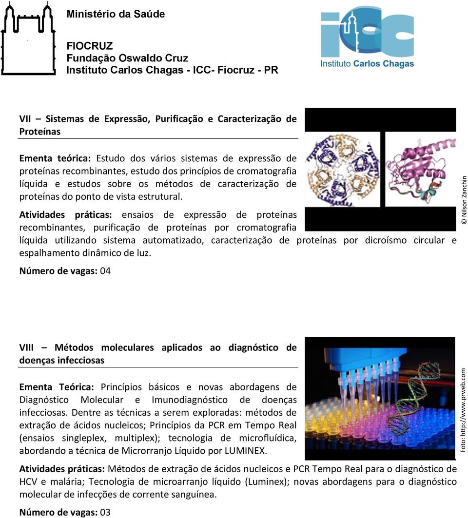 cromatografia líquida e estudos sobre os métodos de caracterização de proteínas do ponto de vista estrutural.