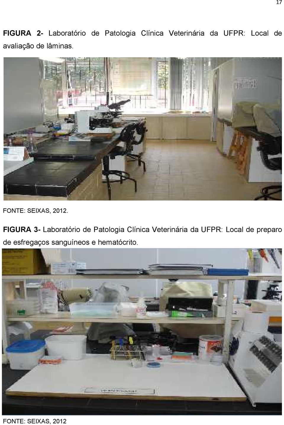 FIGURA 3- Laboratório de Patologia Clínica Veterinária da UFPR: