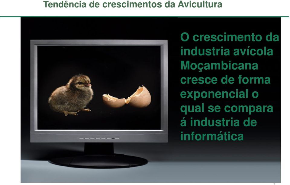 Moçambicana cresce de forma exponencial