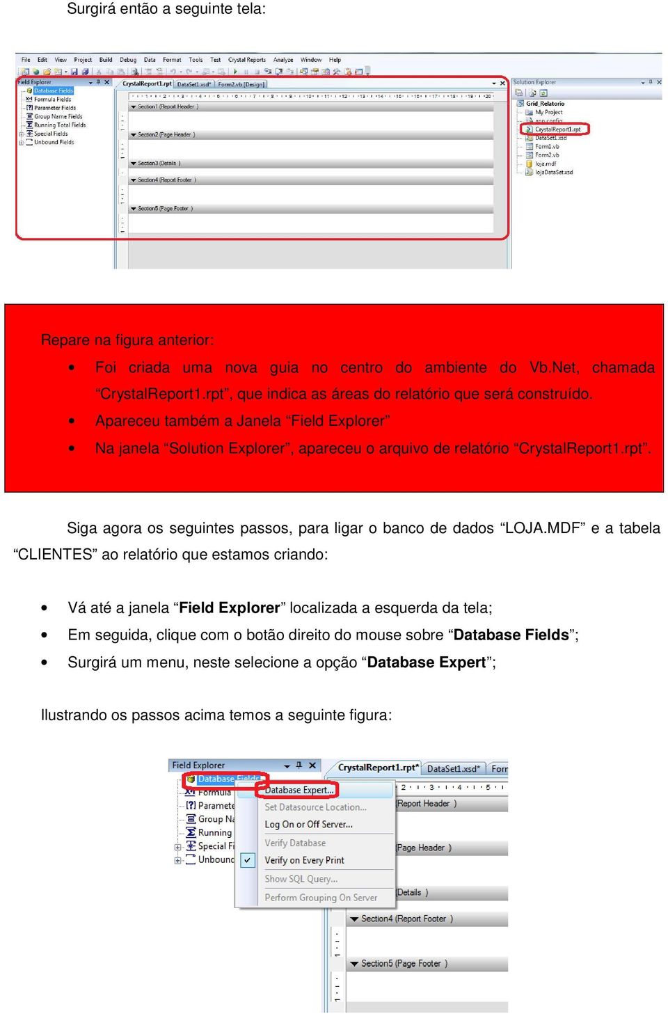 Apareceu também a Janela Field Explorer Na janela Solution Explorer, apareceu o arquivo de relatório CrystalReport1.rpt.