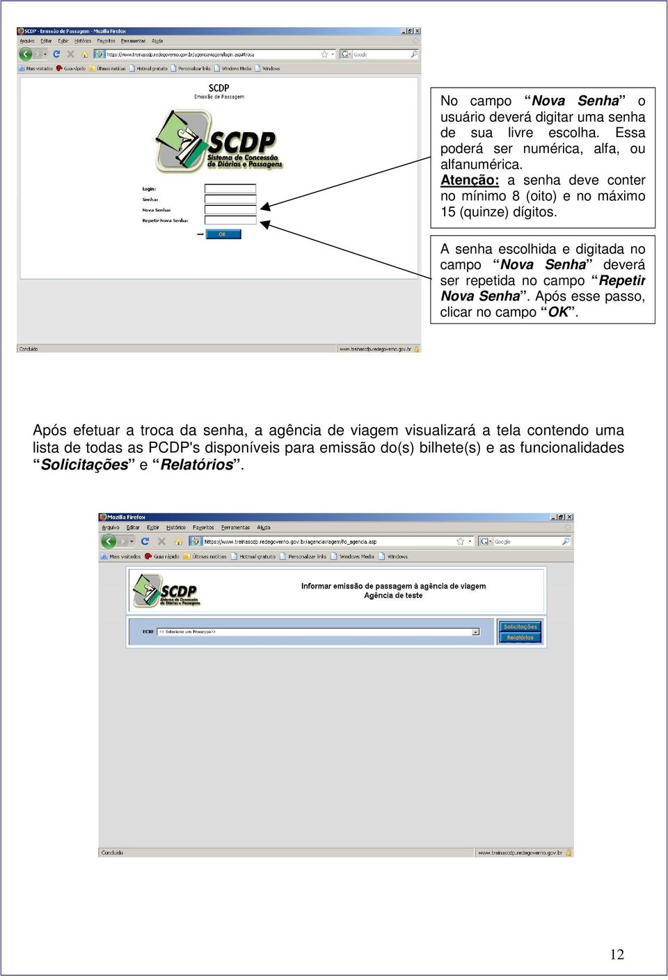 A senha escolhida e digitada no campo Nova Senha deverá ser repetida no campo Repetir Nova Senha. Após esse passo, clicar no campo OK.