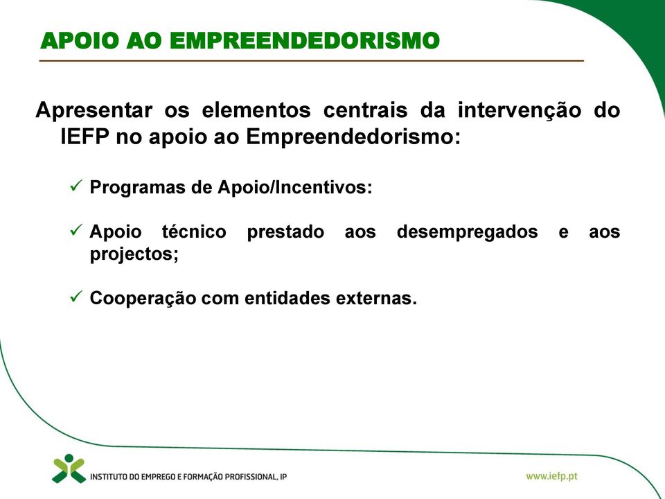 Programas de Apoio/Incentivos: Apoio técnico prestado aos