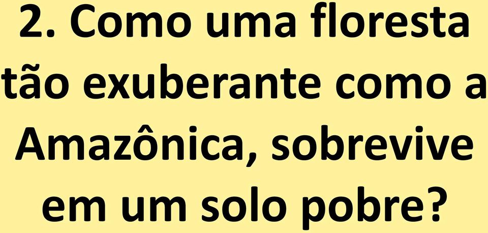 a Amazônica,