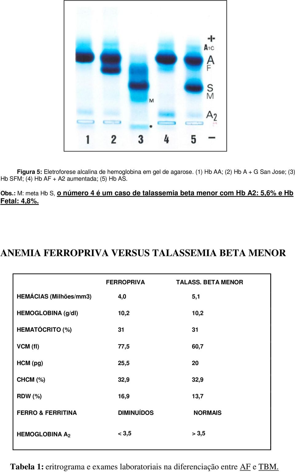 ANEMIA FERROPRIVA VERSUS TALASSEMIA BETA MENOR FERROPRIVA TALASS.