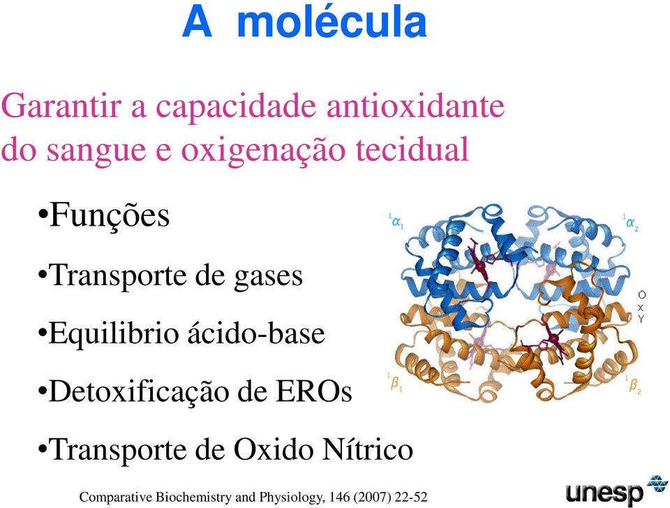 ácido-base Detoxificação de EROs Transporte de Oxido