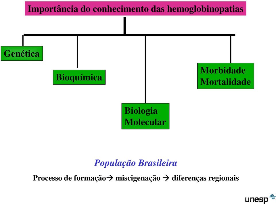 Morbidade Mortalidade Biologia Molecular