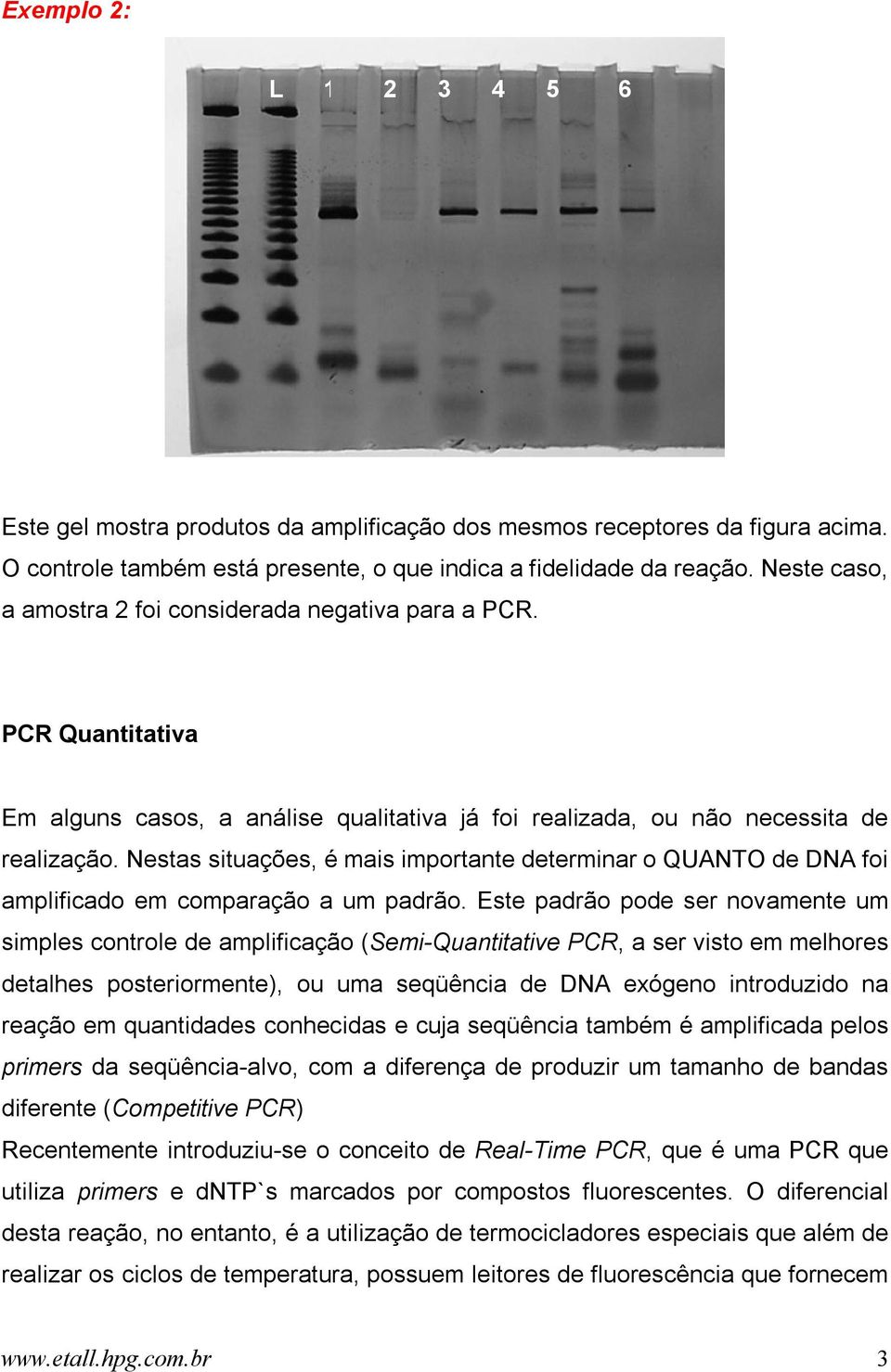 Nestas situações, é mais importante determinar o QUANTO de DNA foi amplificado em comparação a um padrão.