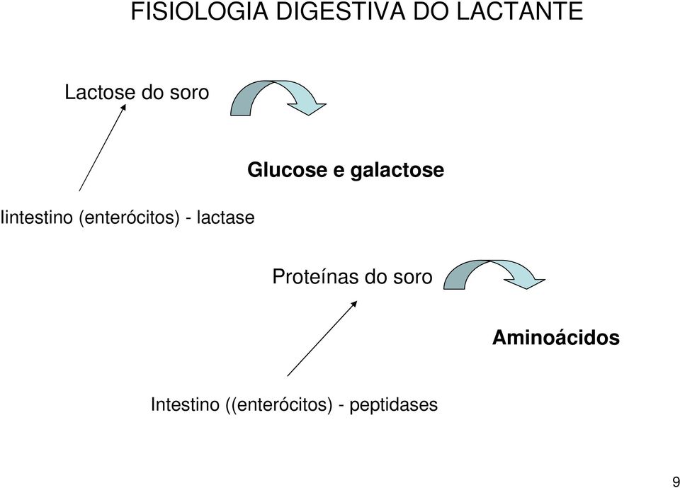 Glucose e galactose Proteínas do soro