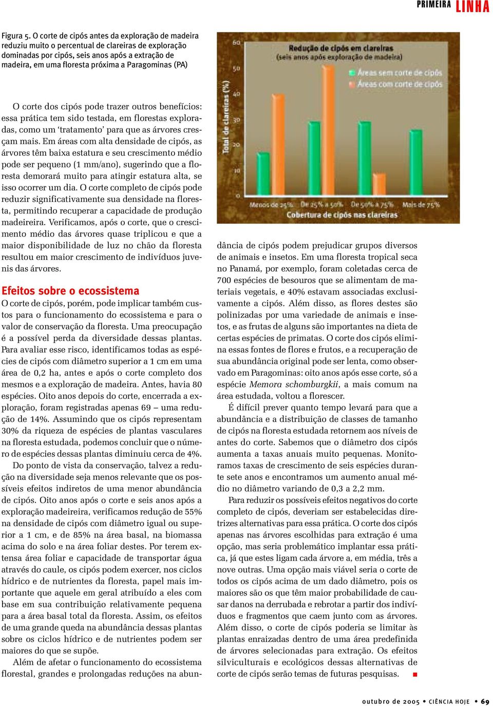 (PA) O corte dos cipós pode trazer outros benefícios: essa prática tem sido testada, em florestas exploradas, como um tratamento para que as árvores cresçam mais.