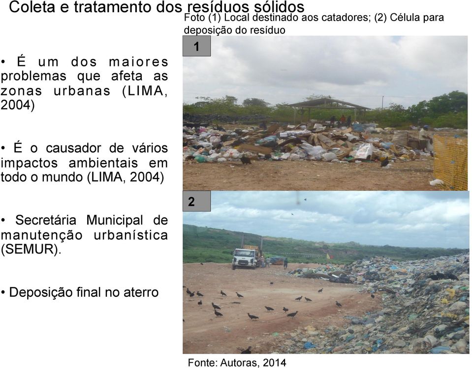 do resíduo 1 É o causador de vários impactos ambientais em todo o mundo (LIMA, 2004)