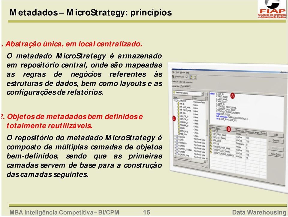 como layouts e as configurações de relatórios.. Objetos de metadados bem definidos e totalmente reutilizáveis.