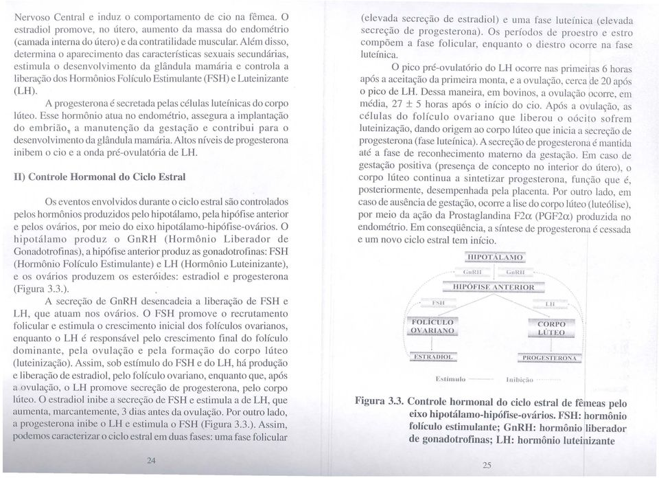 Luteinizante (LH). A progesterona é secretada pelas células luteínicas do corpo lúteo. Esse hormônio atua no endométrio, assegura a implantação do embrião.