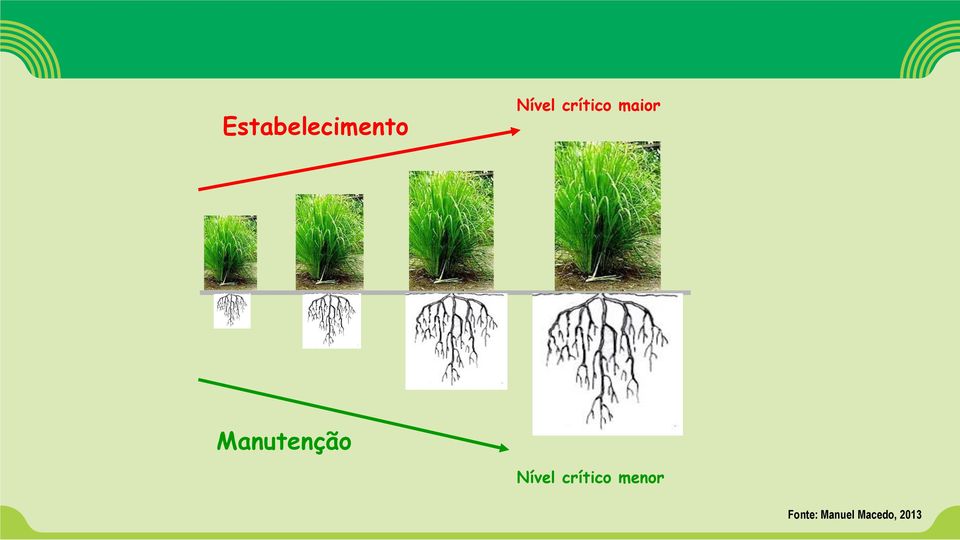 Manutenção Nível