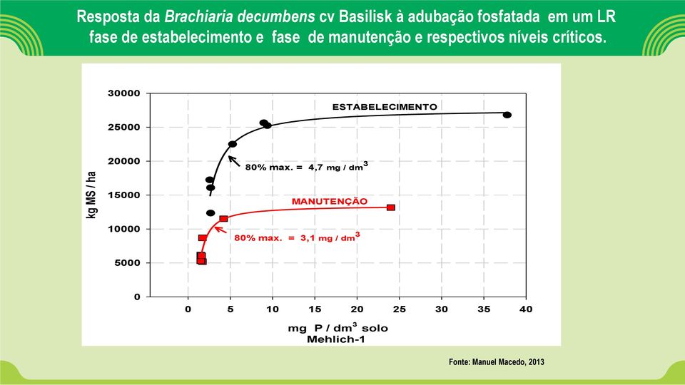 30000 ESTABELECIMENTO 25000 kg MS / ha 20000 15000 80% max.