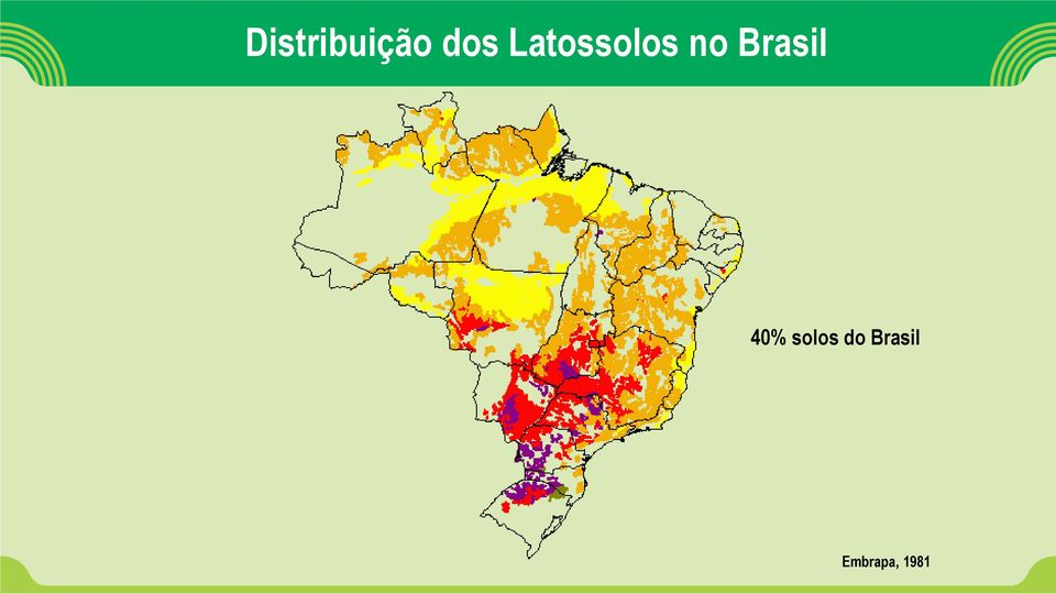 Brasil 40% solos