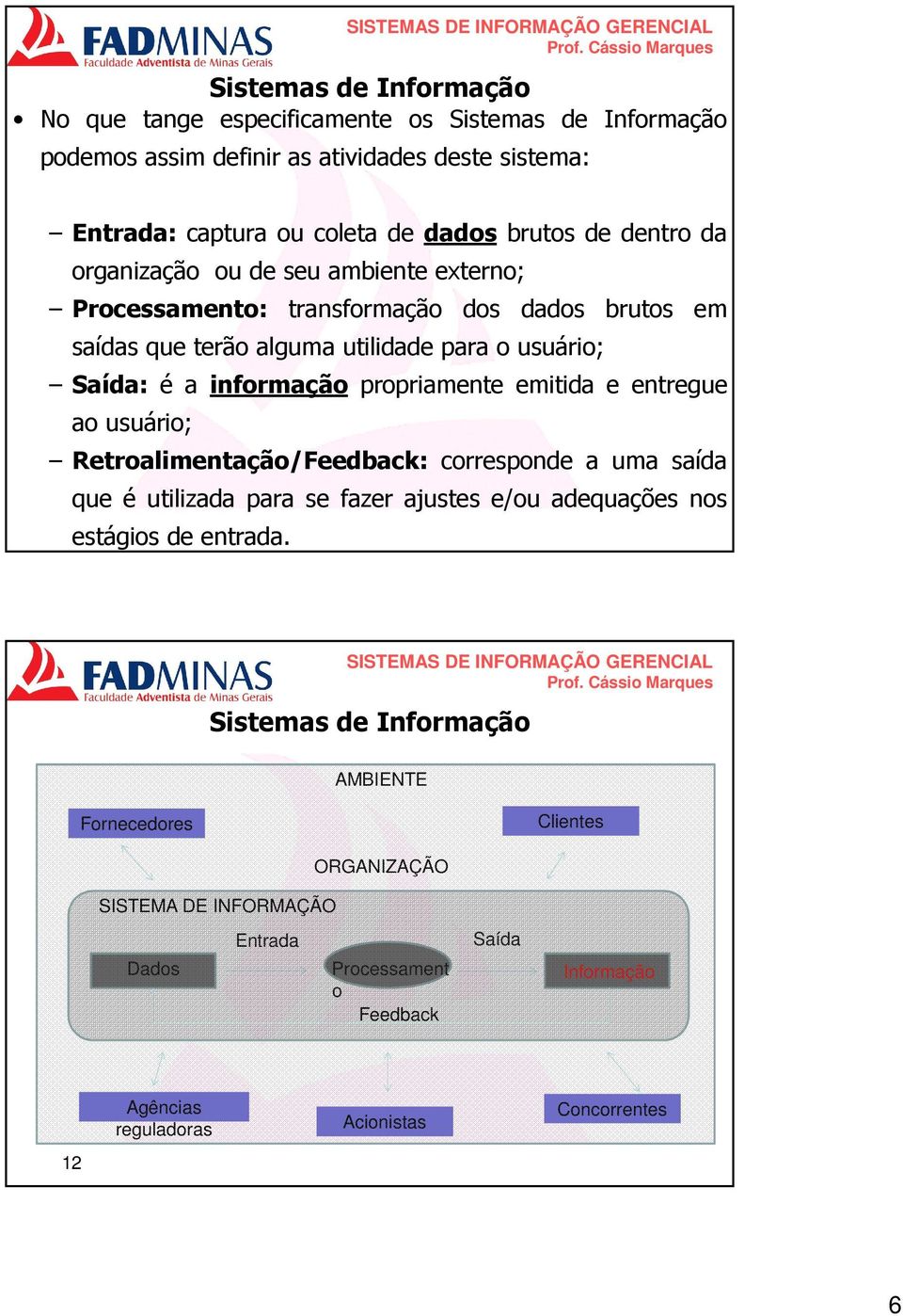 e entregue ao usuário; Retroalimentação/Feedback: corresponde a uma saída que é utilizada para se fazer ajustes e/ou adequações nos estágios de entrada.