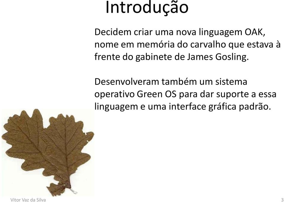 Desenvolveram também um sistema operativo Green OS para dar