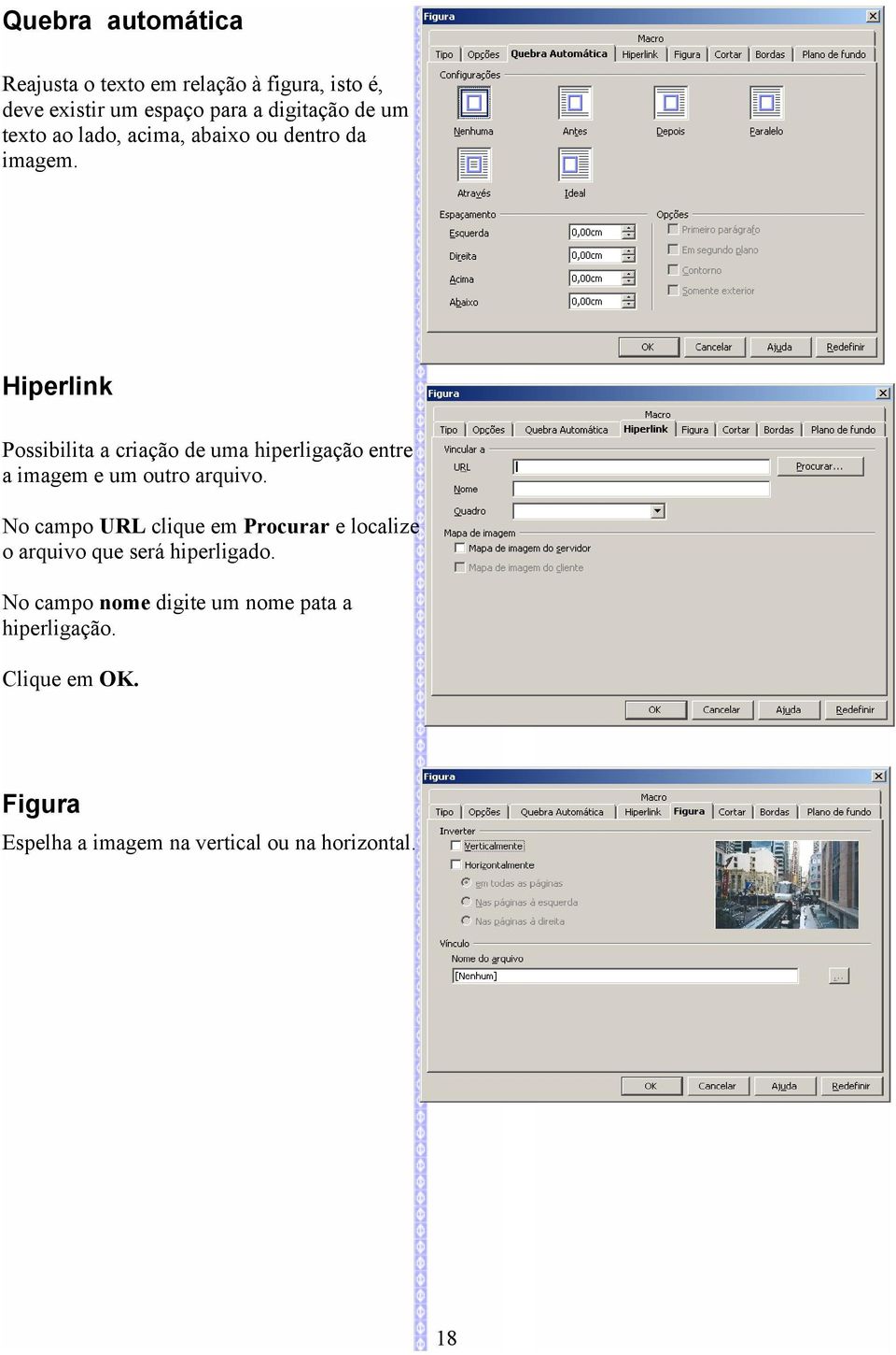 Hiperlink Possibilita a criação de uma hiperligação entre a imagem e um outro arquivo.
