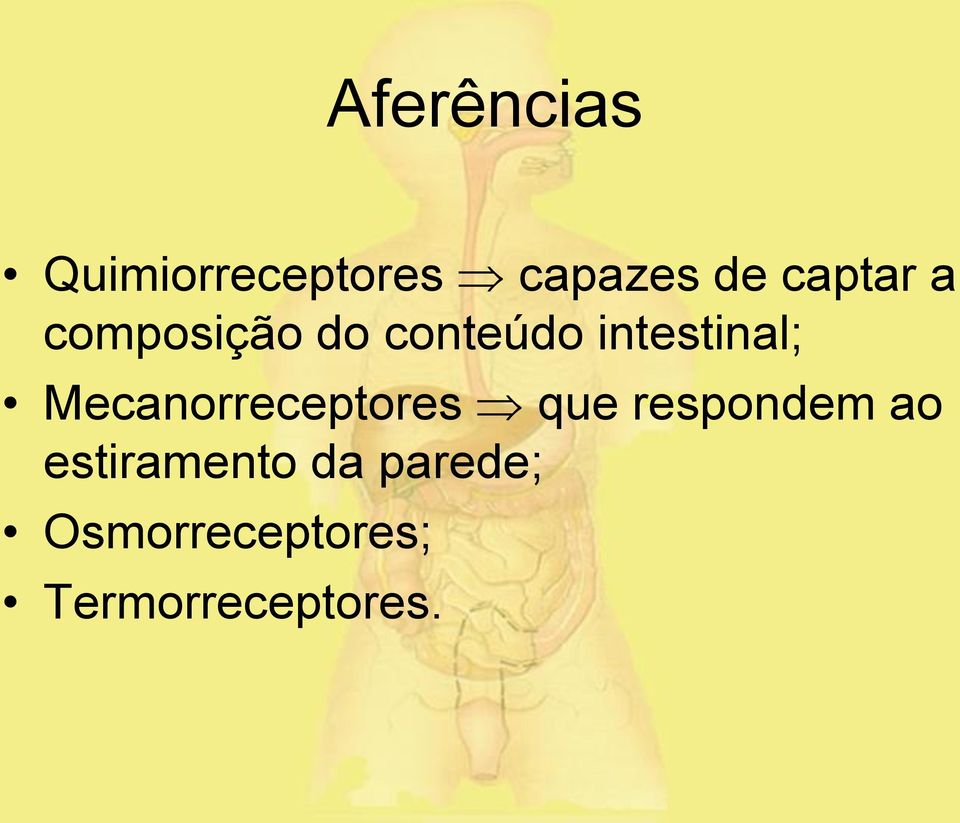 Mecanorreceptores que respondem ao