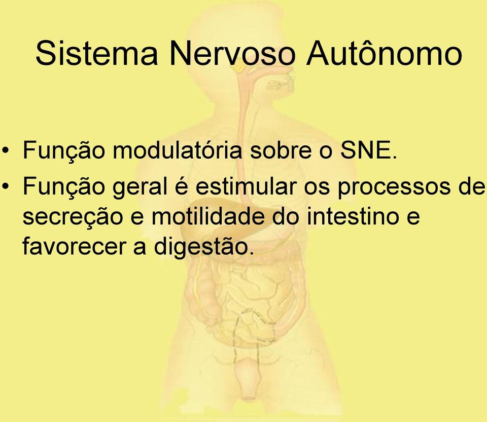 Função geral é estimular os processos