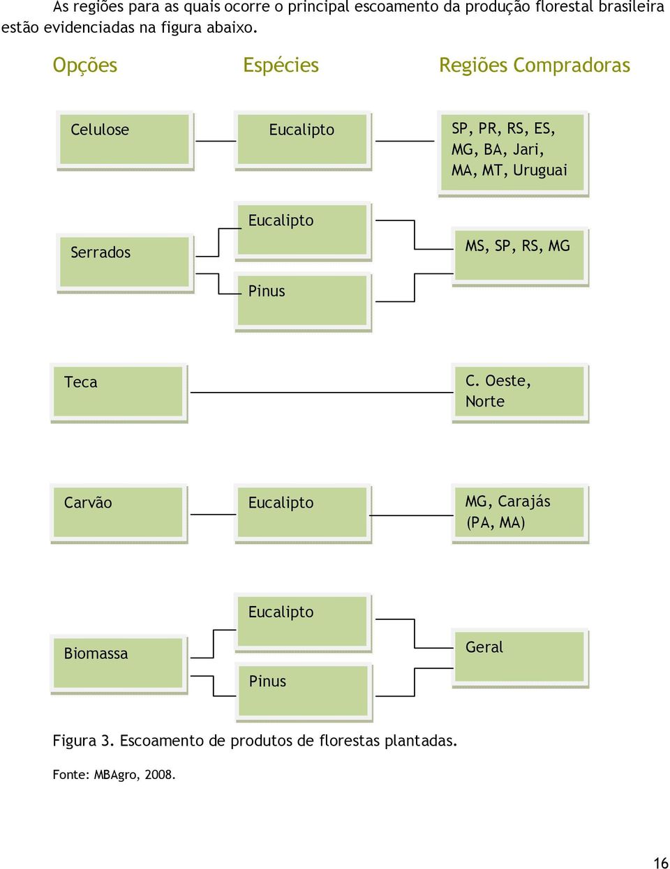 Opções Espécies Regiões Compradoras Celulose Eucalipto SP, PR, RS, ES, MG, BA, Jari, MA, MT, Uruguai