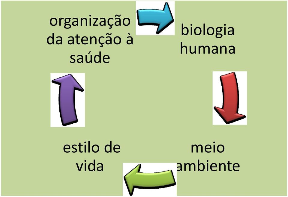 biologia humana