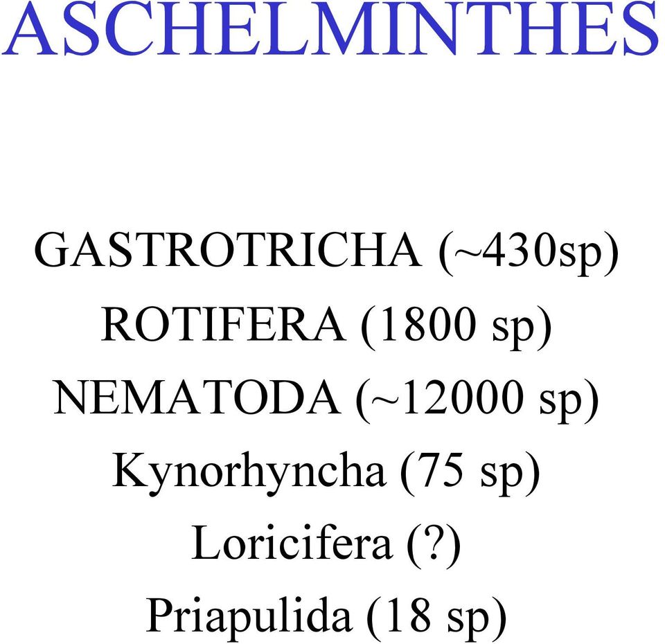 (~12000 sp) Kynorhyncha (75