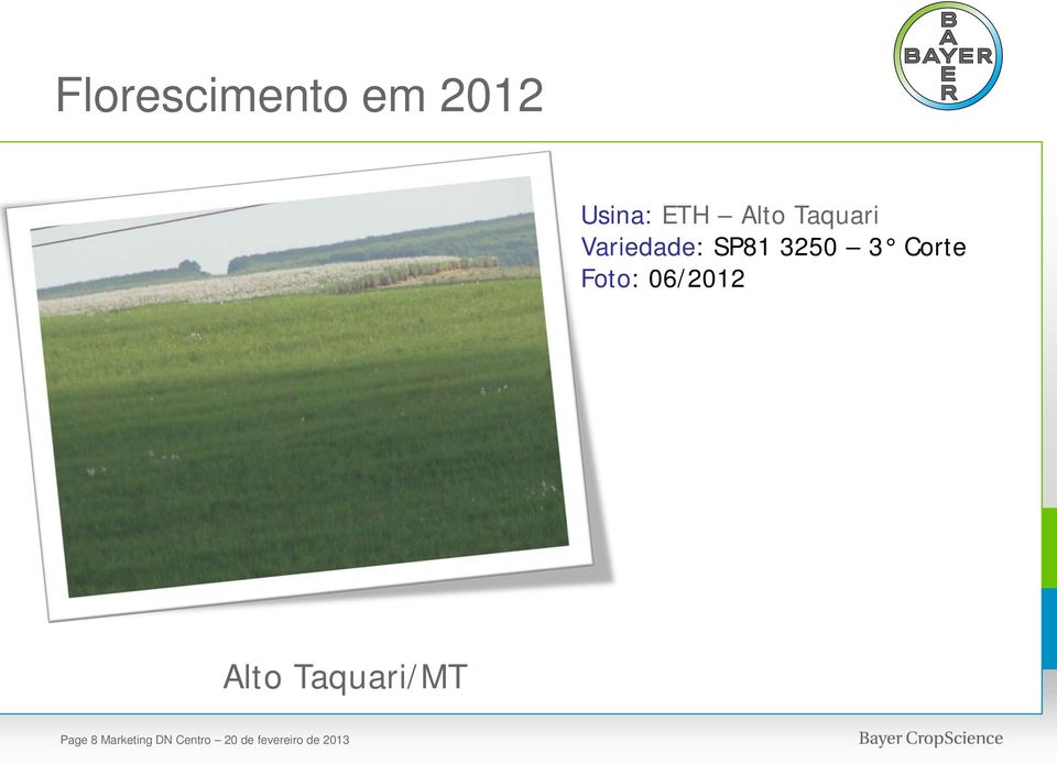 Foto: 06/2012 Alto Taquari/MT Page 8