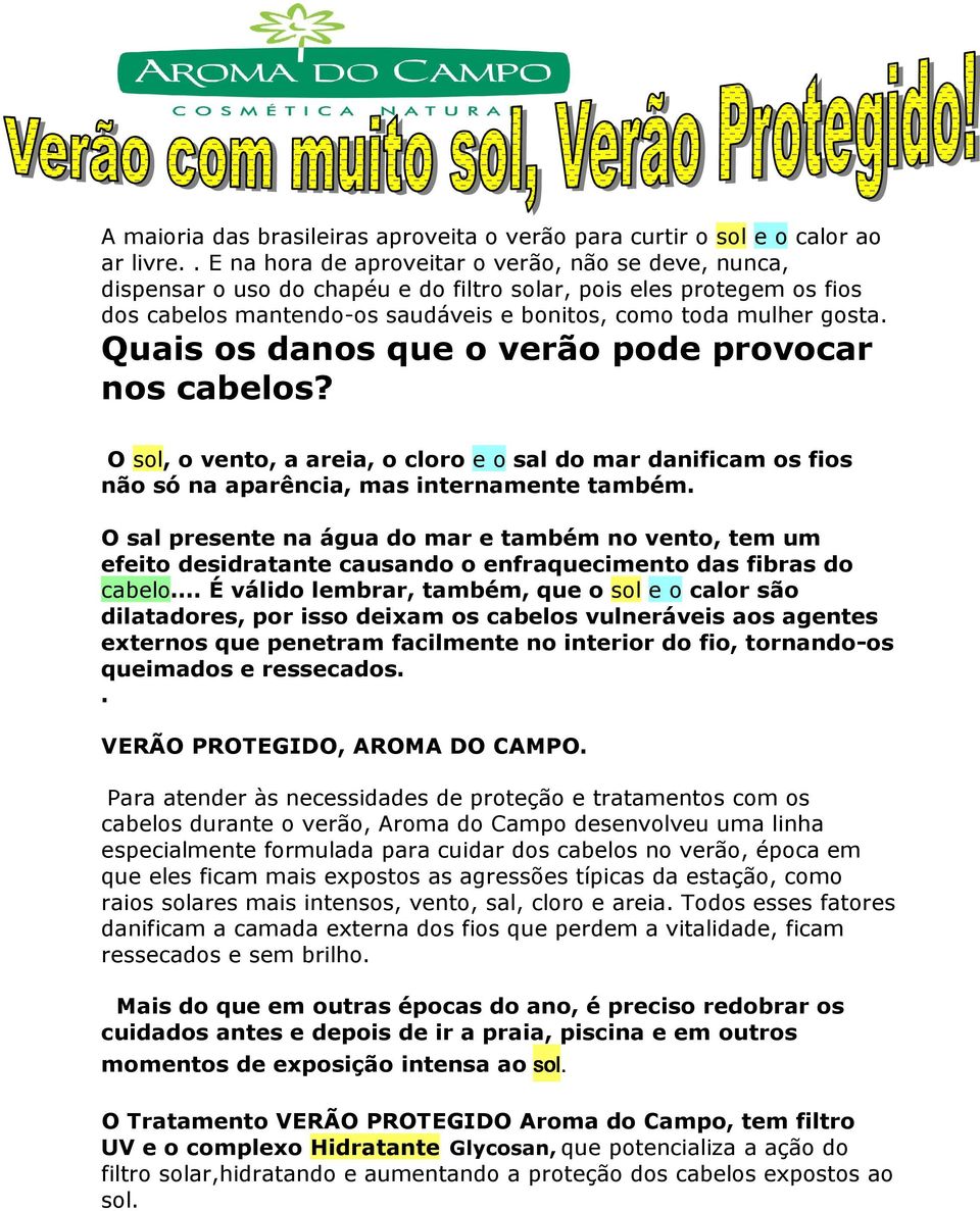 Quais os danos que o verão pode provocar nos cabelos? O sol, o vento, a areia, o cloro e o sal do mar danificam os fios não só na aparência, mas internamente também.