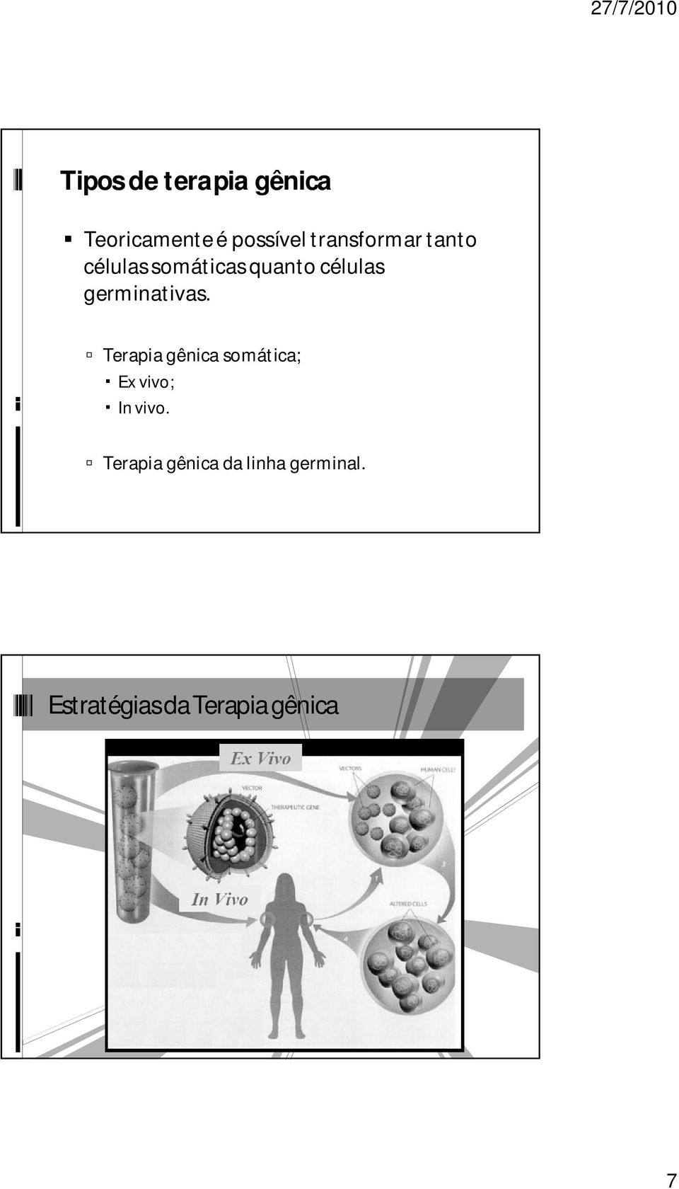 germinativas. Terapia gênica somática; Ex vivo; In vivo.