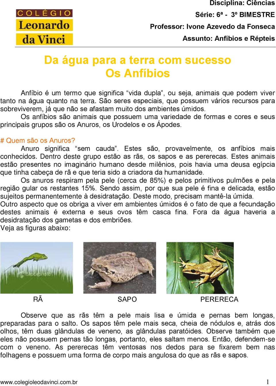 Os anfíbios são animais que possuem uma variedade de formas e cores e seus principais grupos são os Anuros, os Urodelos e os Ápodes. # Quem são os Anuros? Anuro significa sem cauda.