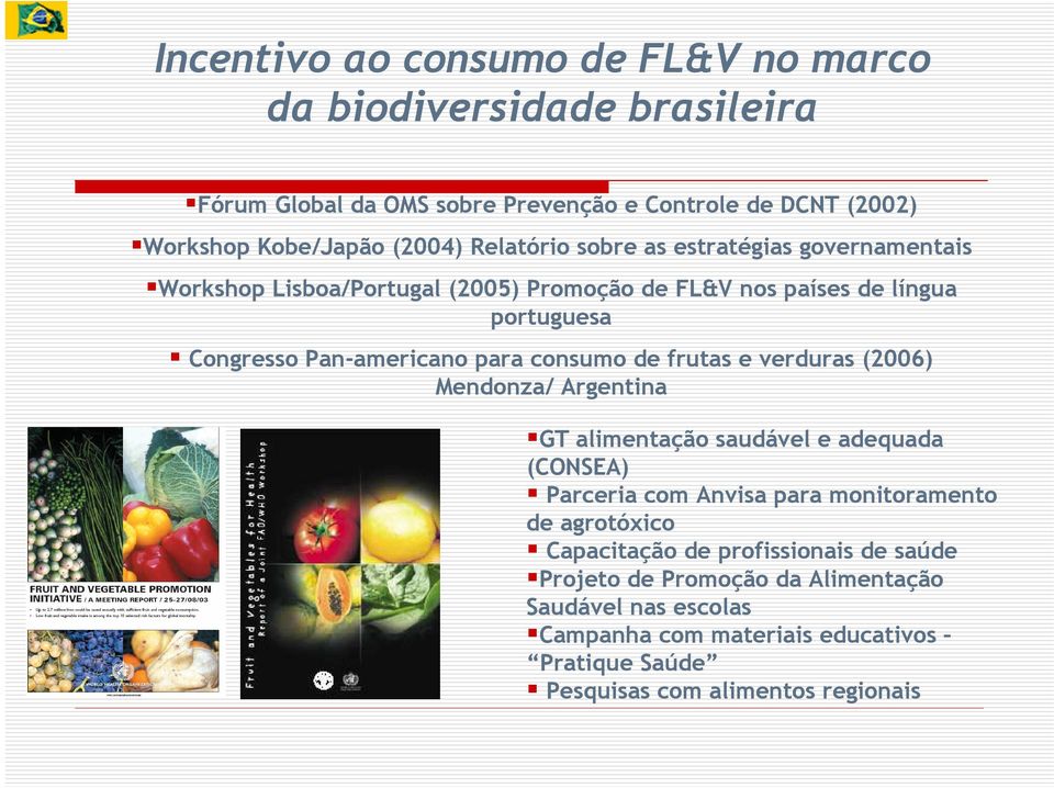 consumo de frutas e verduras (2006) Mendonza/ Argentina GT alimentação saudável e adequada (CONSEA) Parceria com Anvisa para monitoramento de agrotóxico