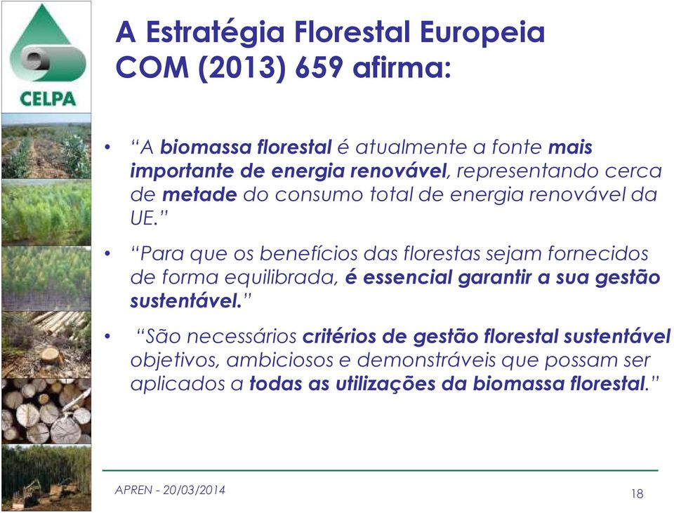 Para que os benefícios das florestas sejam fornecidos de forma equilibrada, é essencial garantir a sua gestão sustentável.