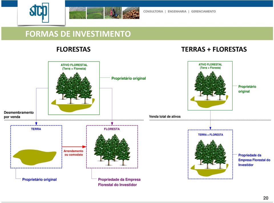 venda Venda total de ativos TERRA FLORESTA TERRA + FLORESTA Arrendamento ou comodato Propriedade