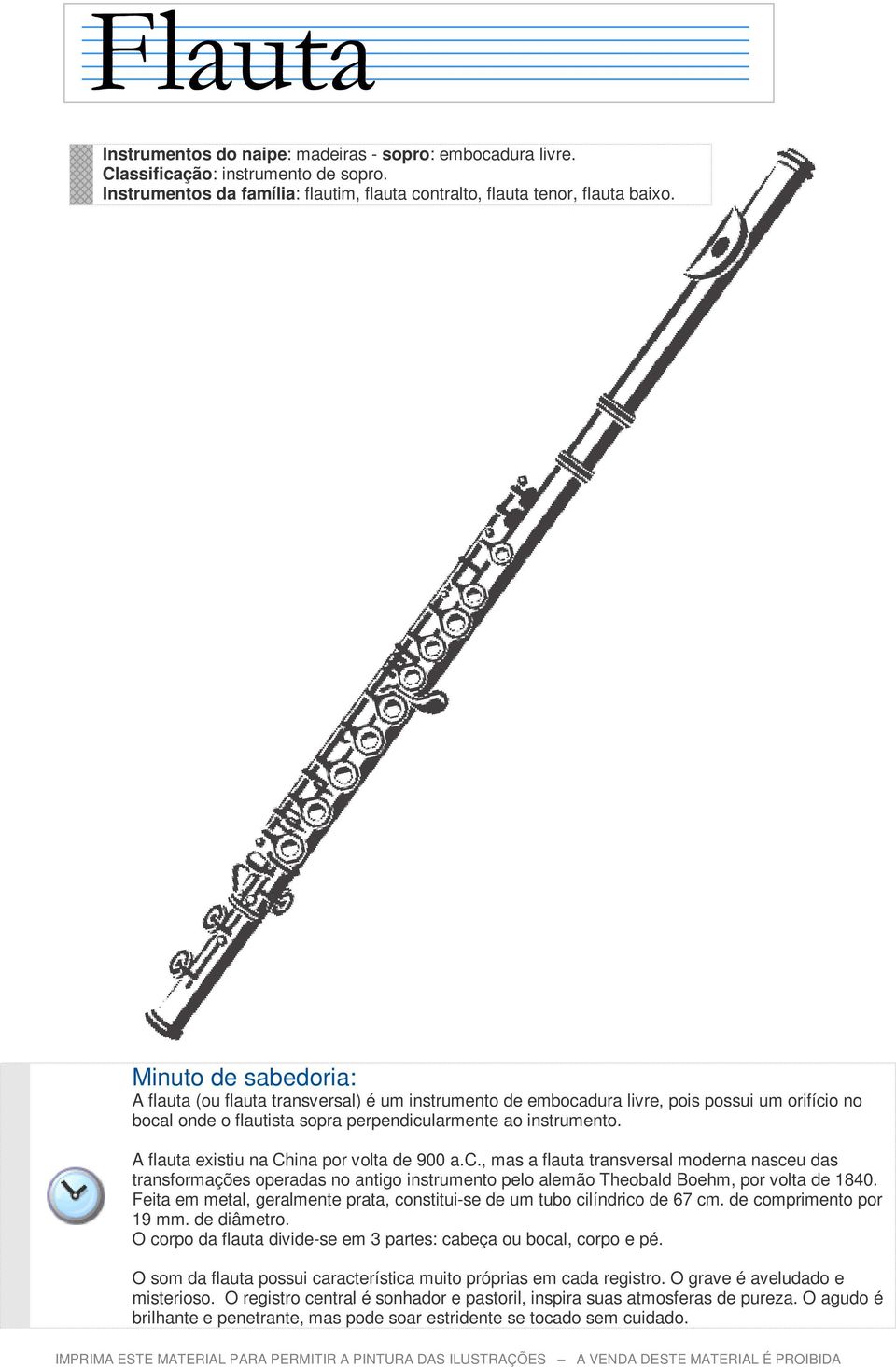 A flauta existiu na China por volta de 900 a.c., mas a flauta transversal moderna nasceu das transformações operadas no antigo instrumento pelo alemão Theobald Boehm, por volta de 1840.