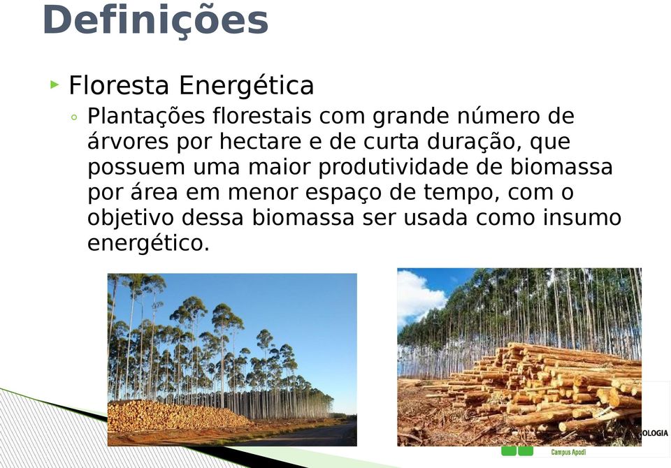 uma maior produtividade de biomassa por área em menor espaço de