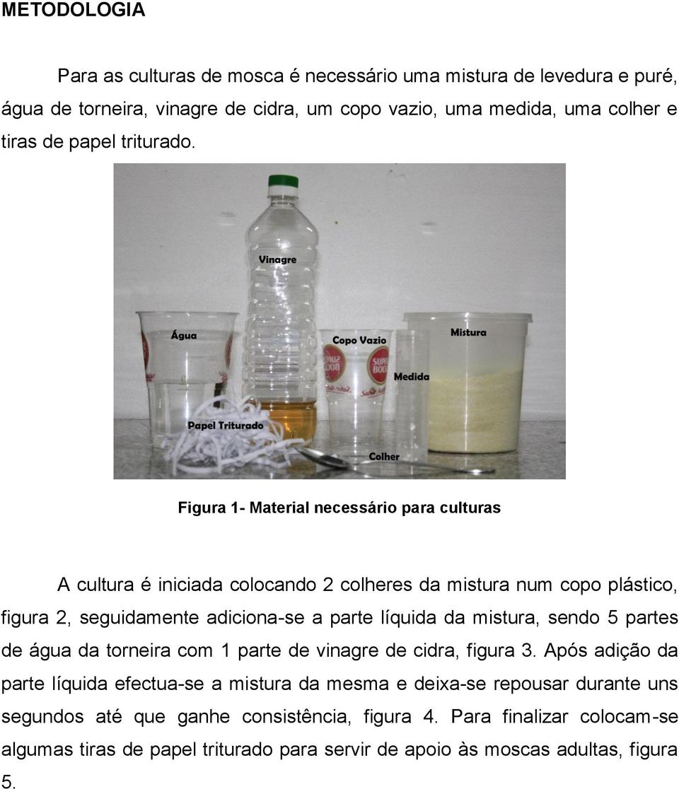 Figura 1- Material necessário para culturas A cultura é iniciada colocando 2 colheres da mistura num copo plástico, figura 2, seguidamente adiciona-se a parte líquida da