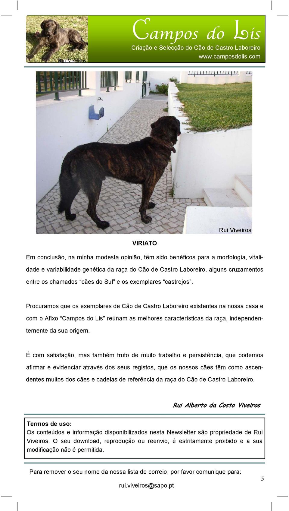 Procuramos que os exemplares de Cão de Castro Laboreiro existentes na nossa casa e com o Afixo reúnam as melhores características da raça, independentemente da sua origem.